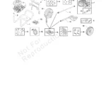 POWER BOSS, 020726-01, IPL.4 thumbnail